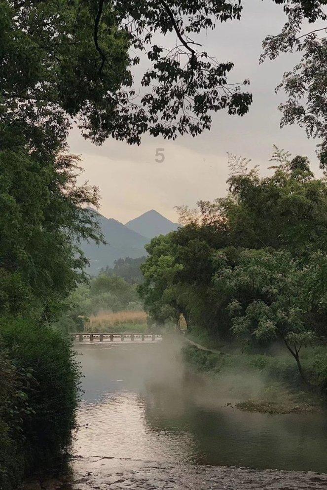 炎陵县三口龙村程宏种植基地带动草莓销售500斤